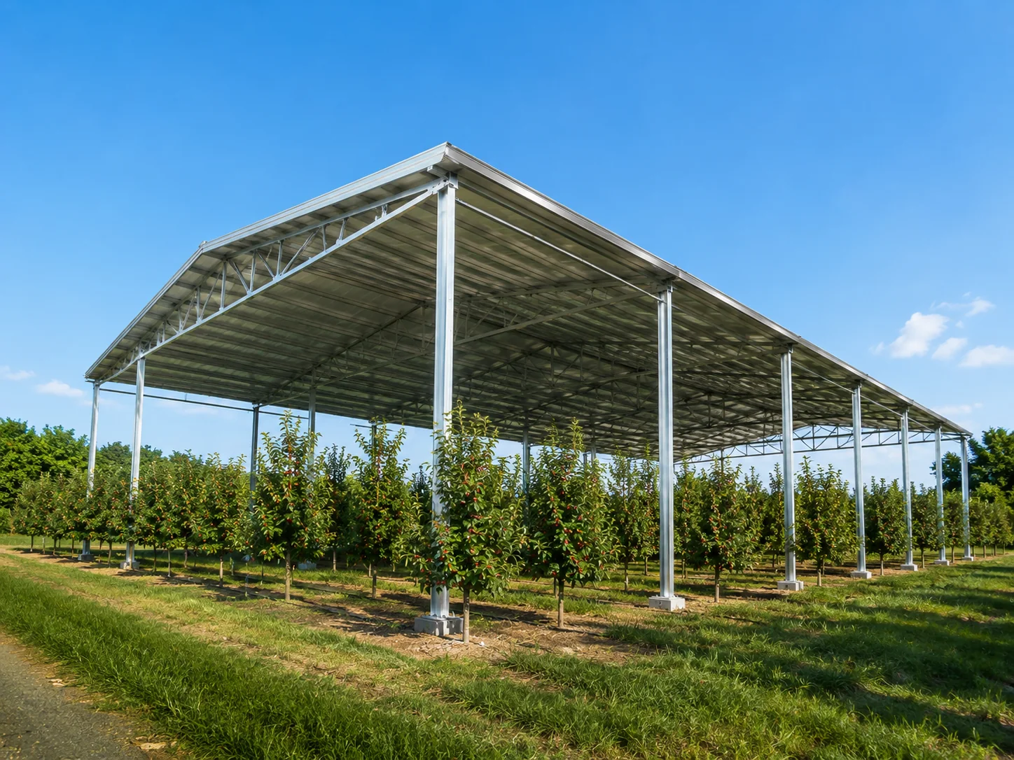 Large agricultural shelter extending over orchard rows